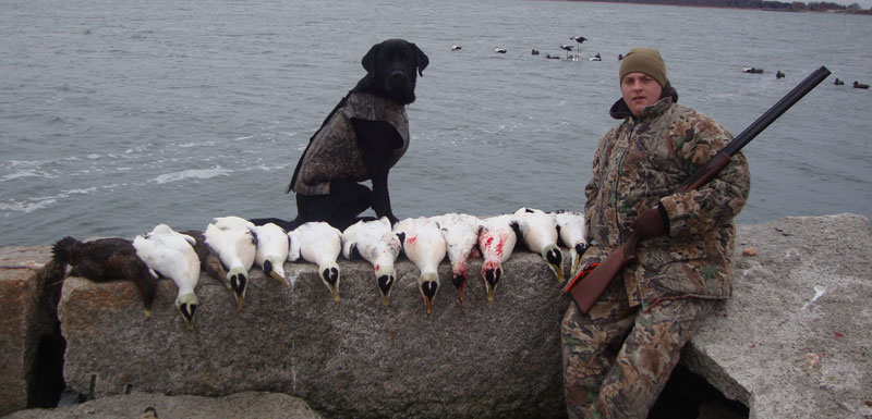 Sea Duck hunting New England: MA, RI, ME Sea Duck hunting New England: MA, RI, ME